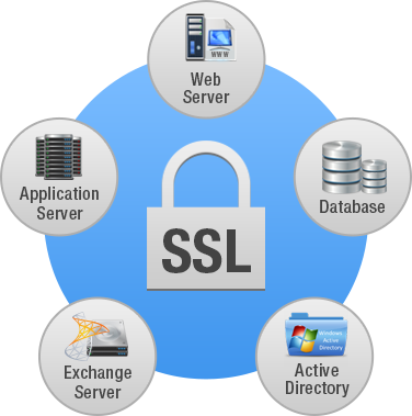 Các loại chứng thư số GlobalSign SSL và Chính sách dịch vụ